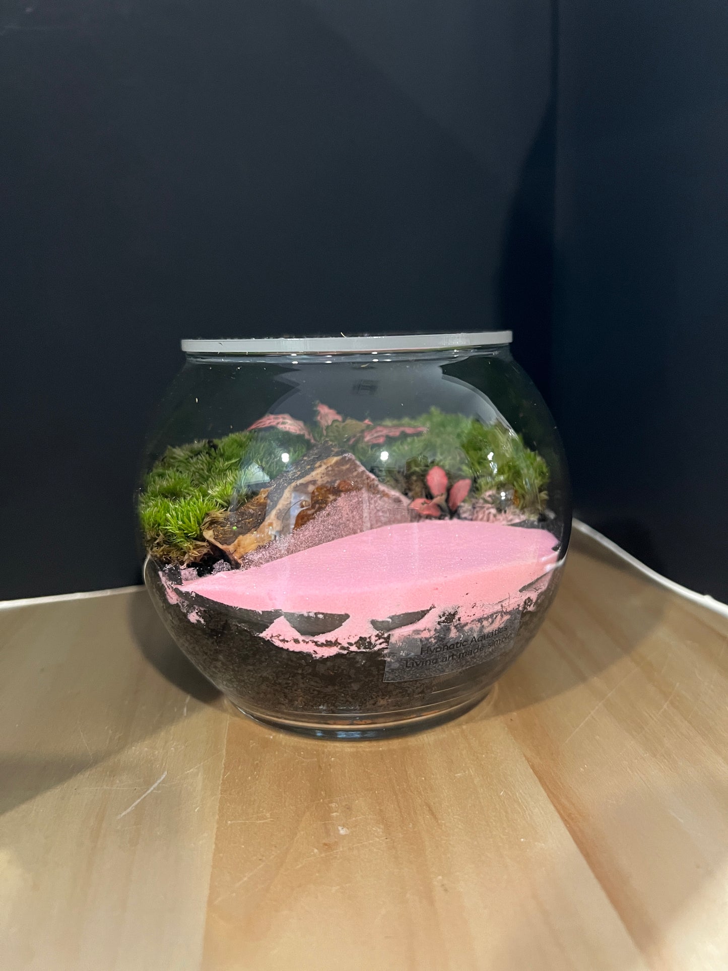 Terrarium 866