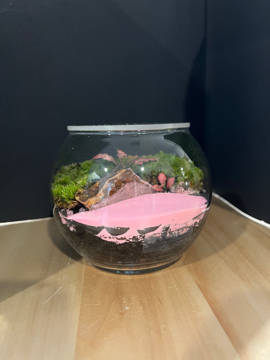 Terrarium 866