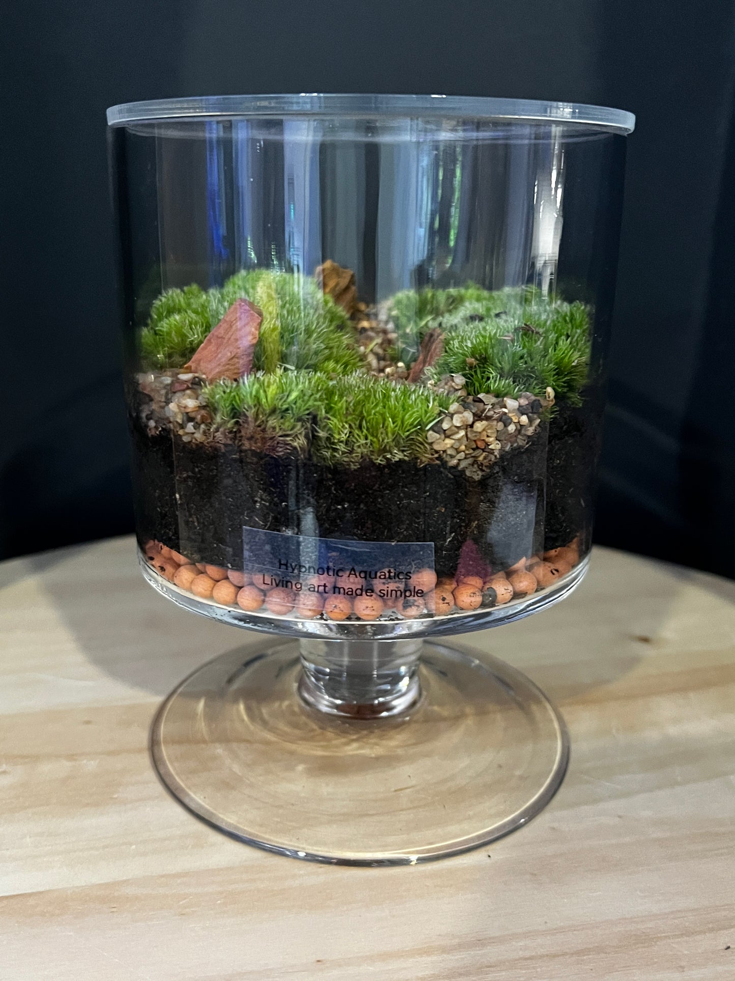 Terrarium 881