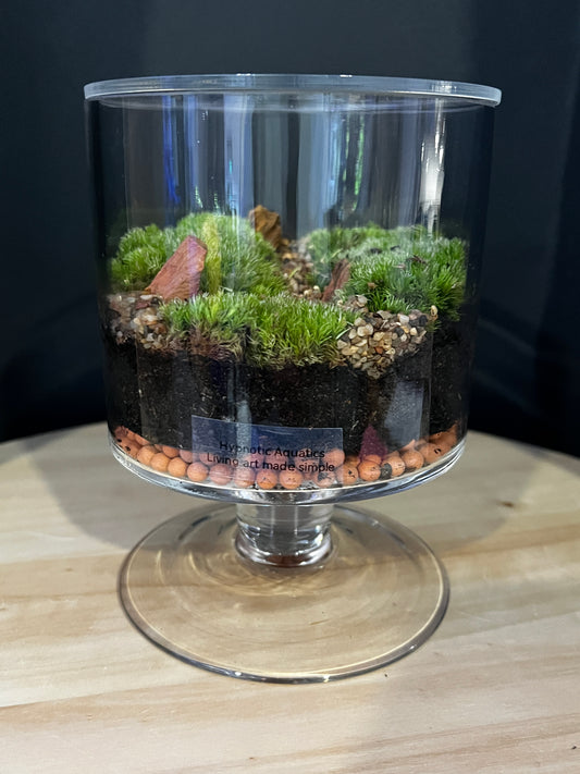 Terrarium 881