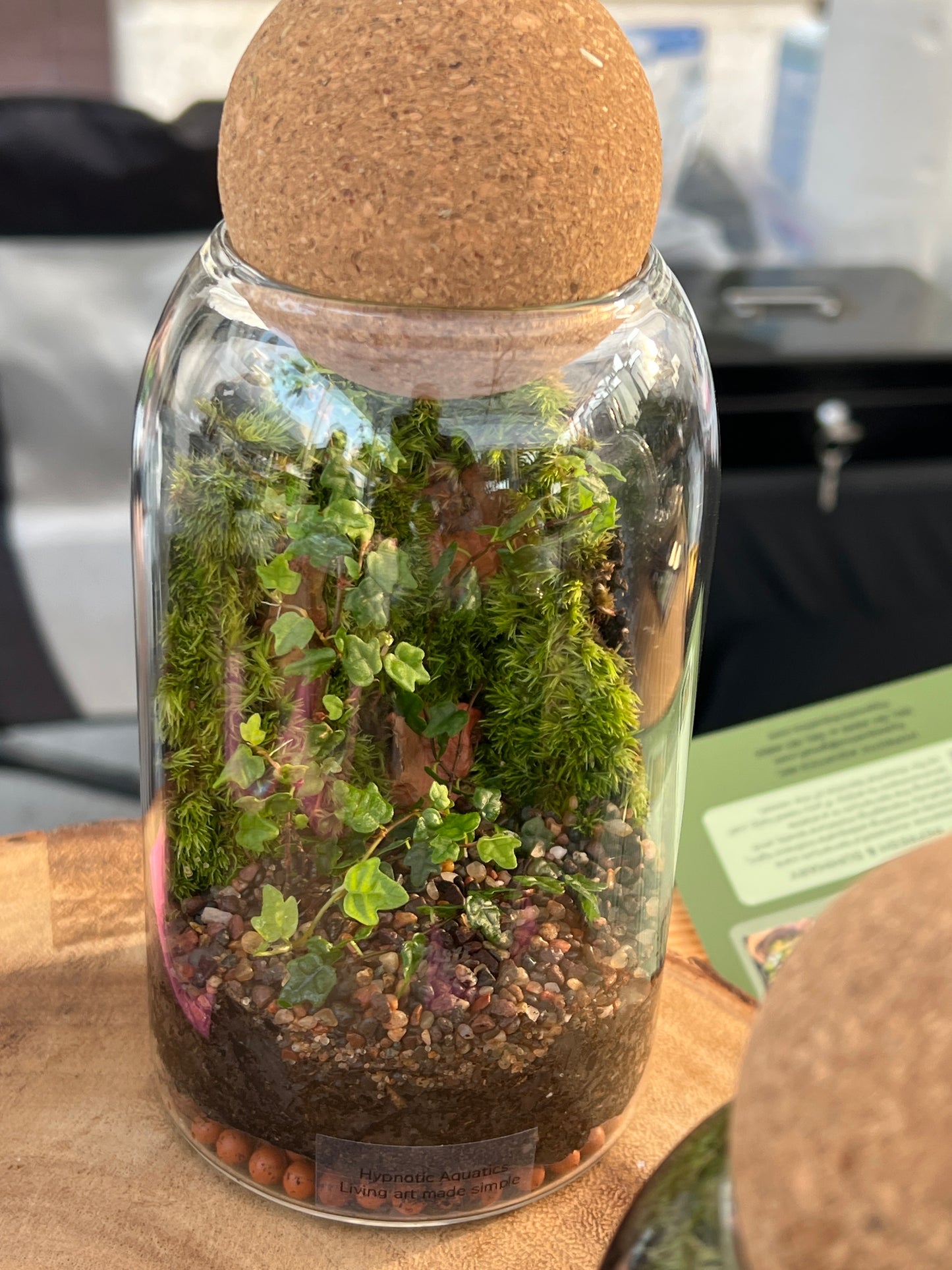 Terrarium 841