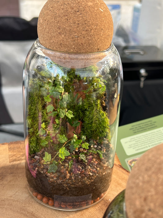 Terrarium 841