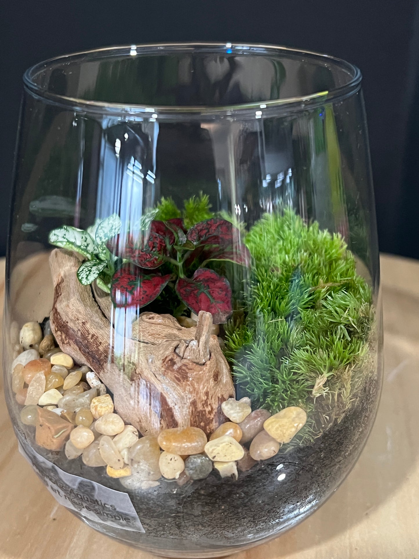 Terrarium 905