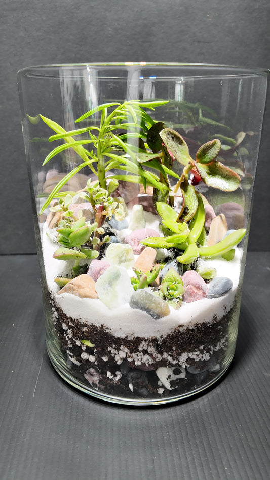 Terrarium #44