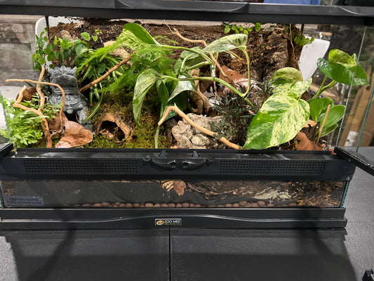 Terrarium 409 Habitat