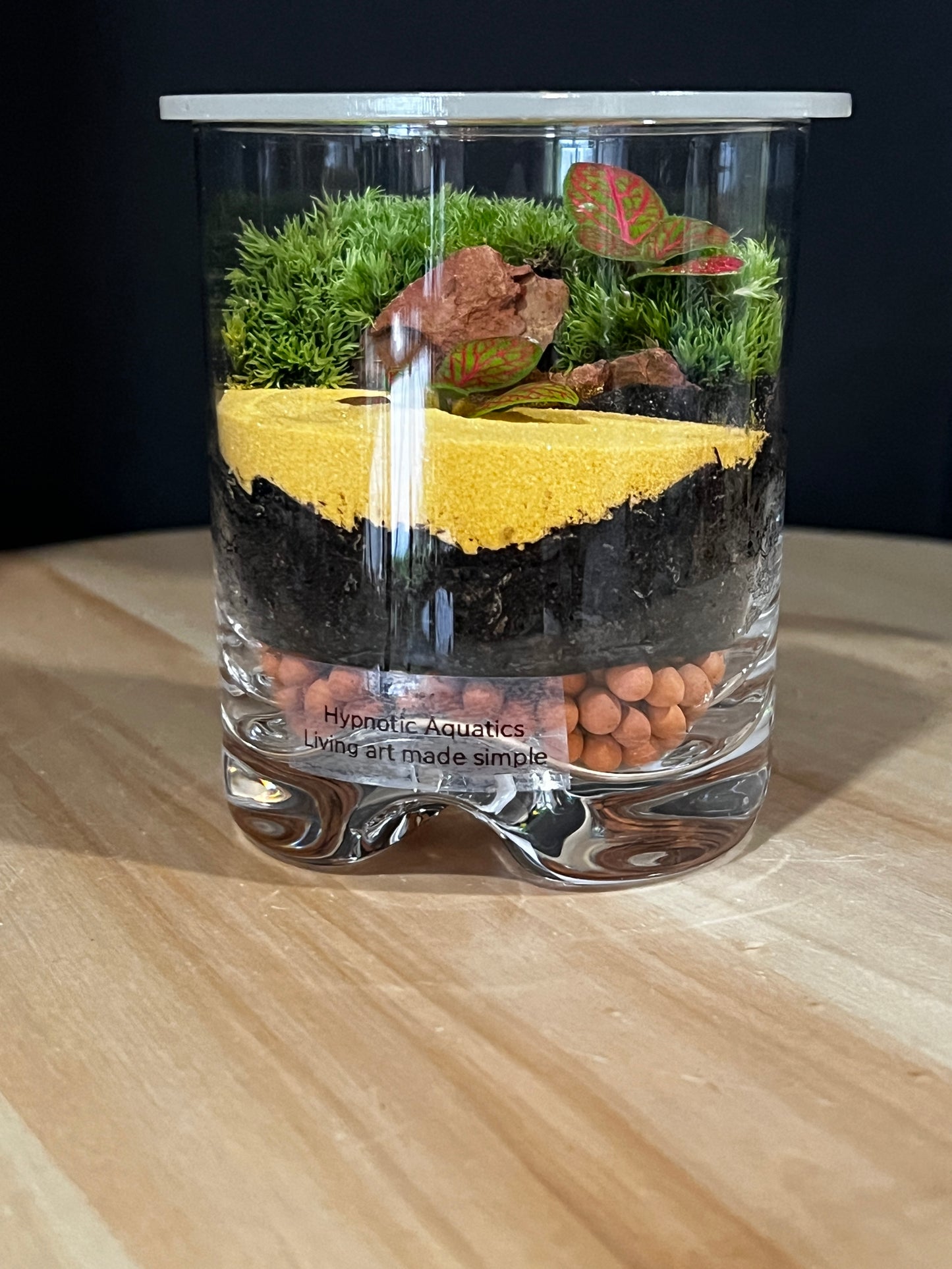 Terrarium 912