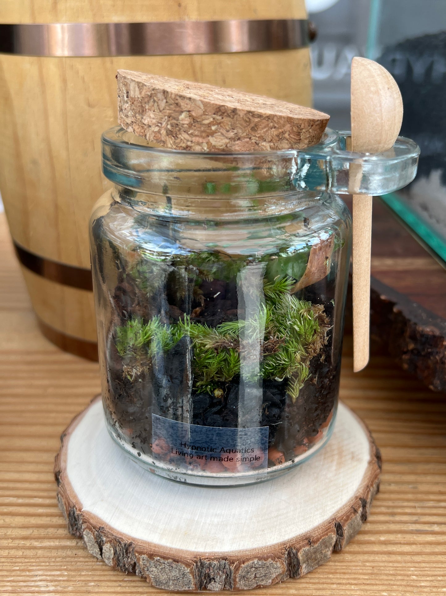 Terrarium 886