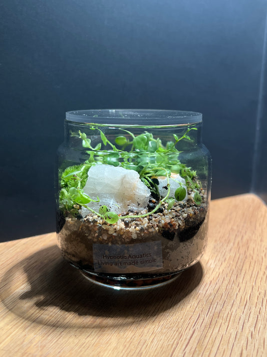 Terrarium 350