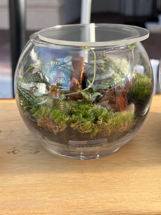 Terrarium 820