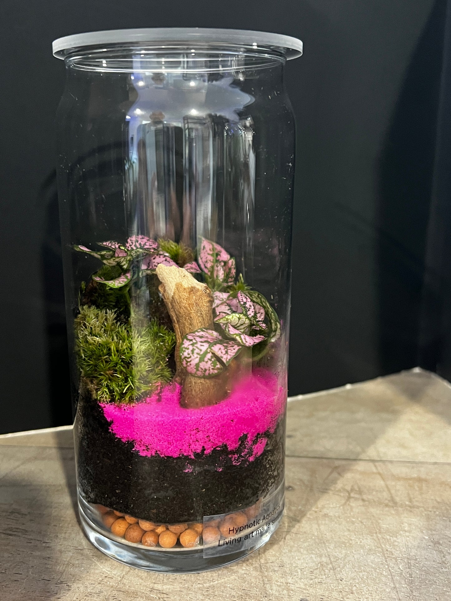 Terrarium 890