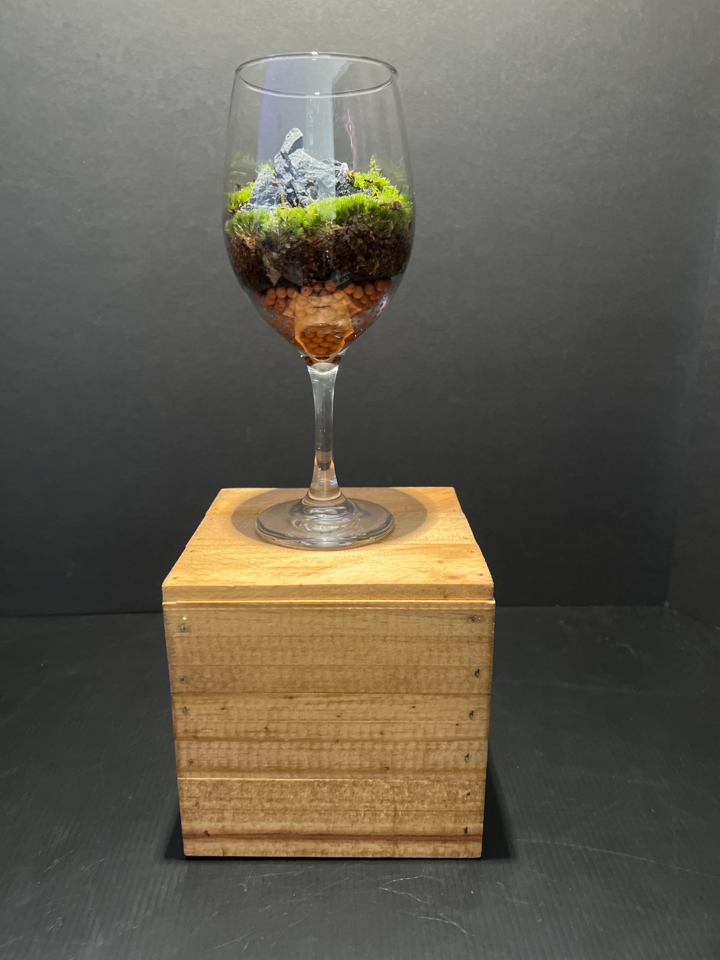 Terrarium #38