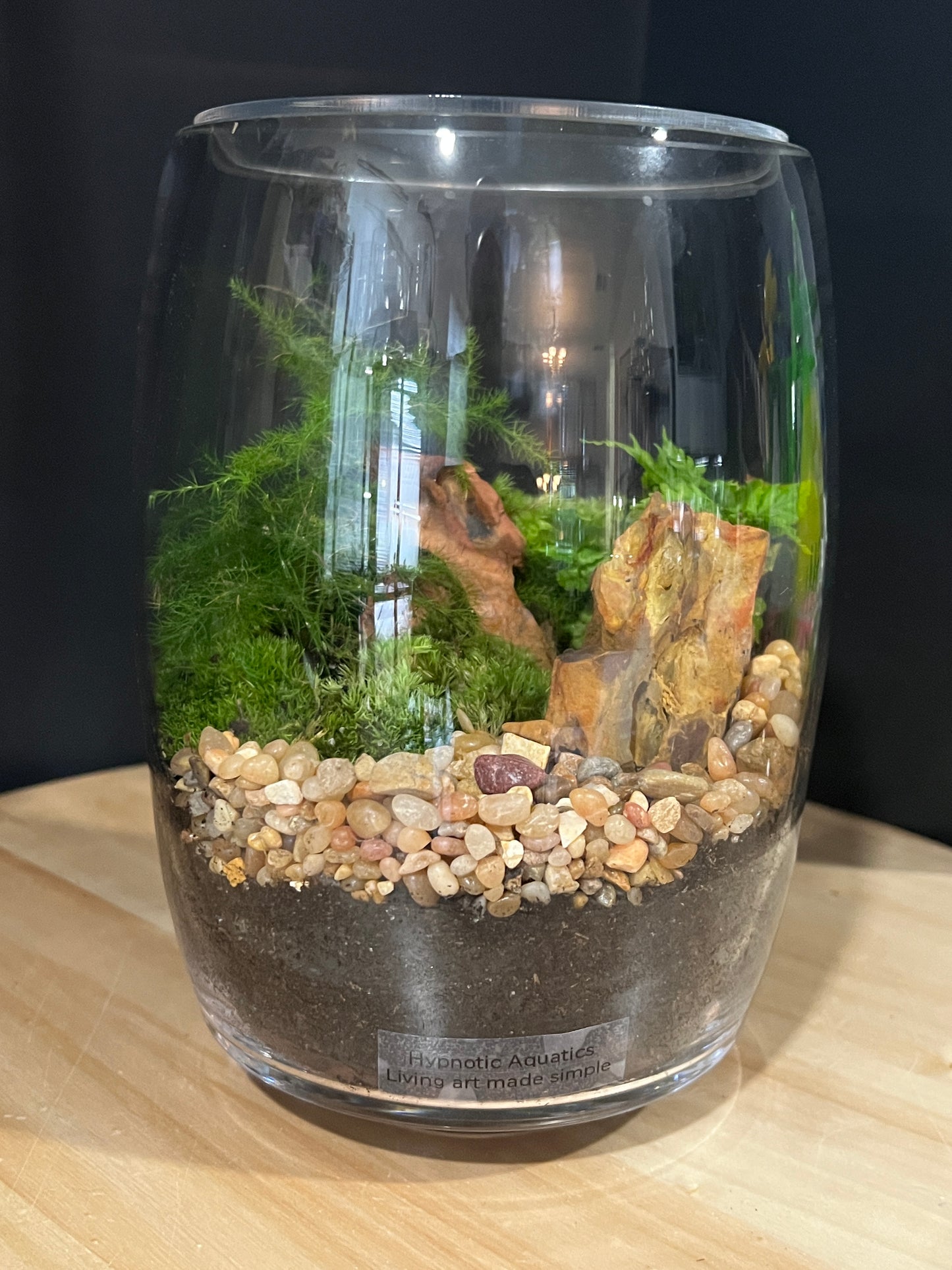 Terrarium 906