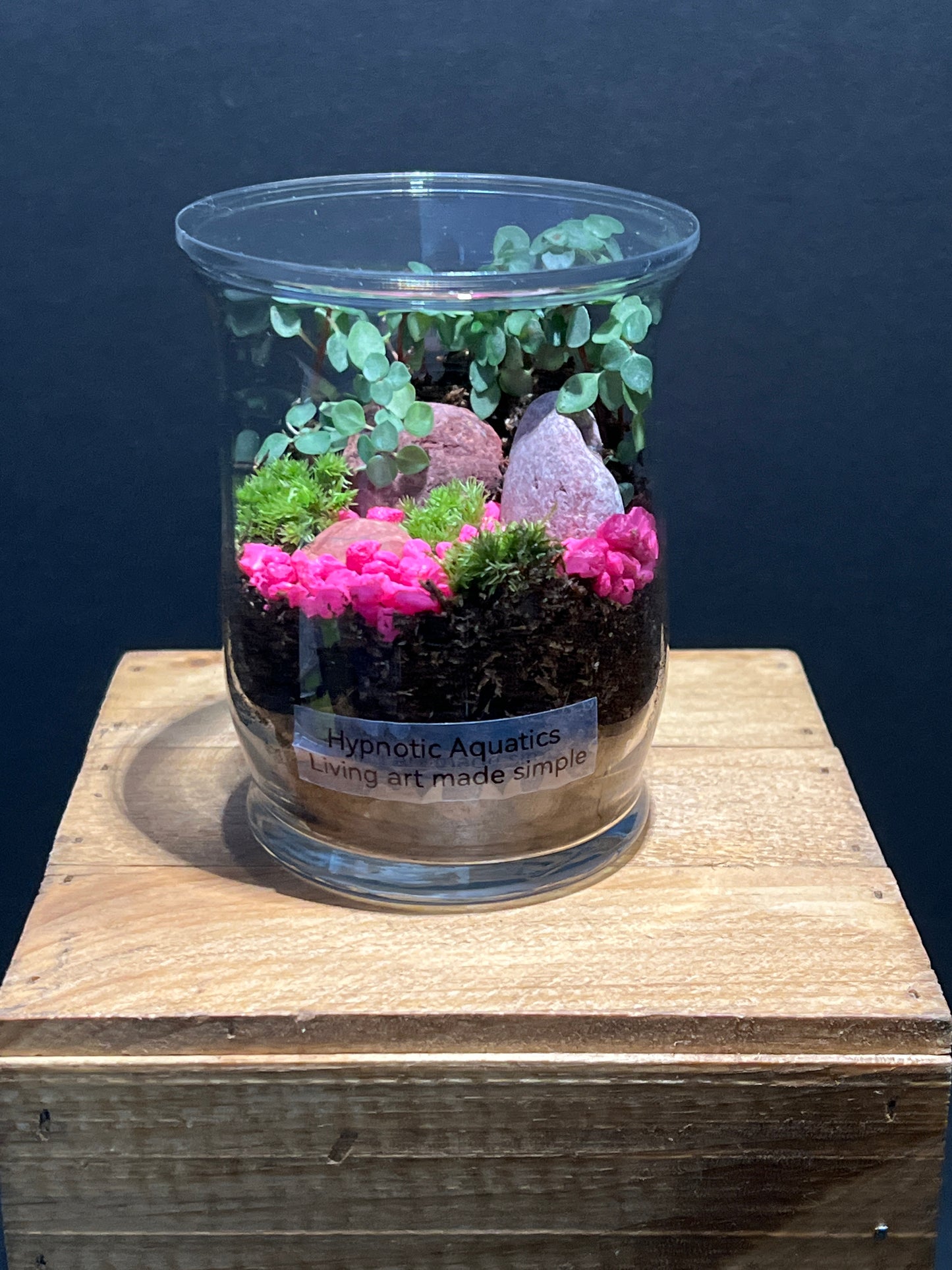 Terrarium #140