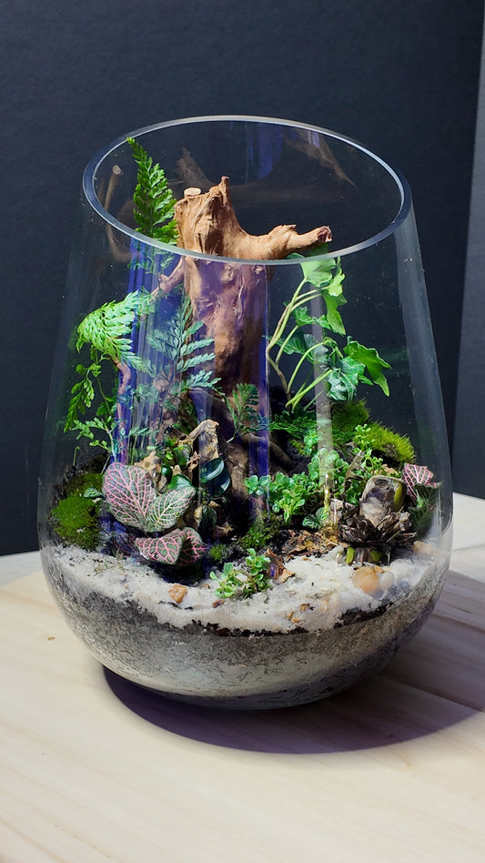 Terrarium #9