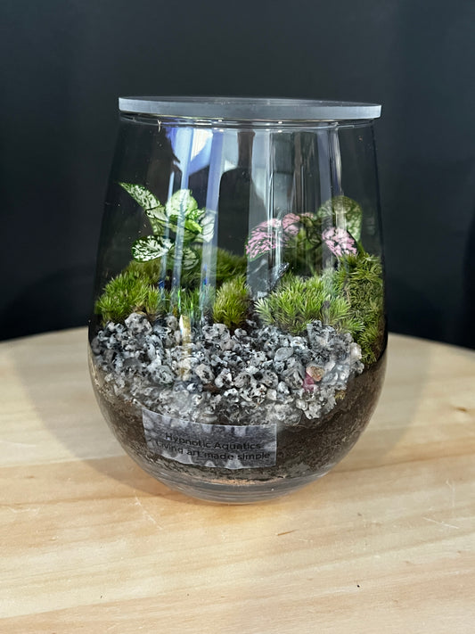 Terrarium 883