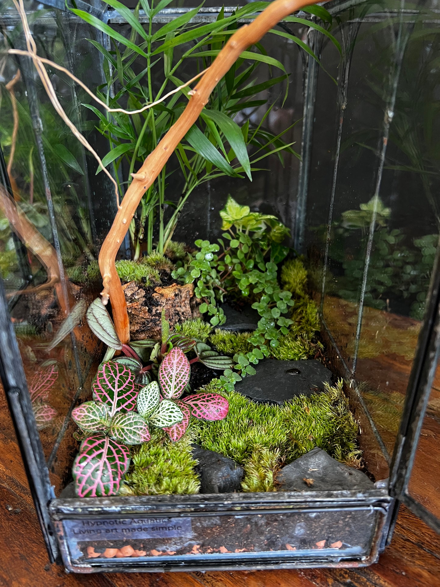 Terrarium 868