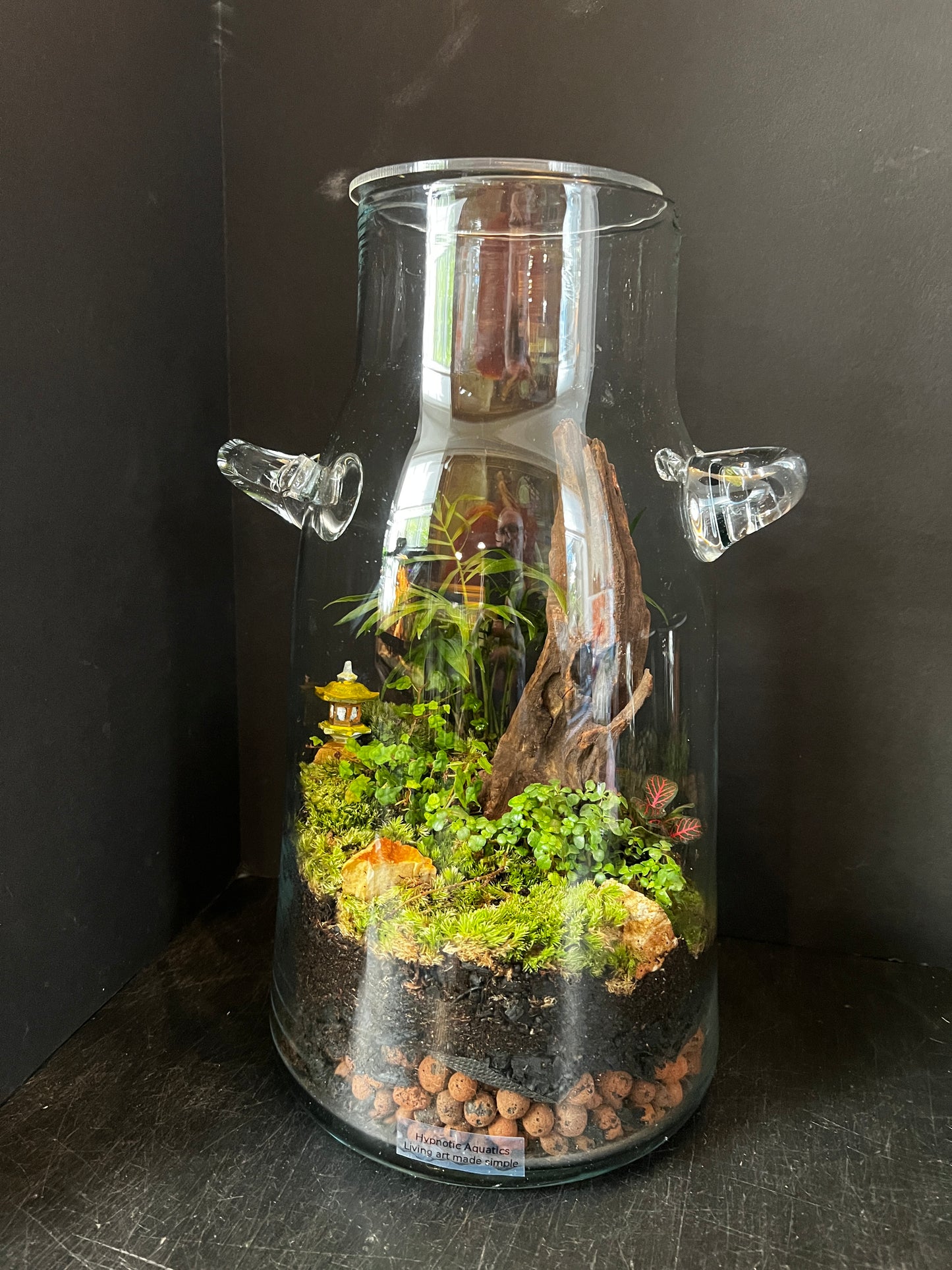 Terrarium 876