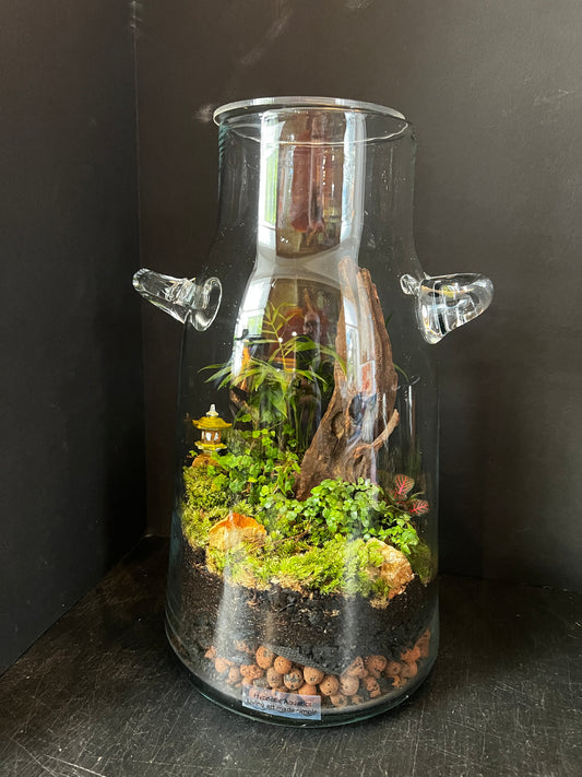 Terrarium 876