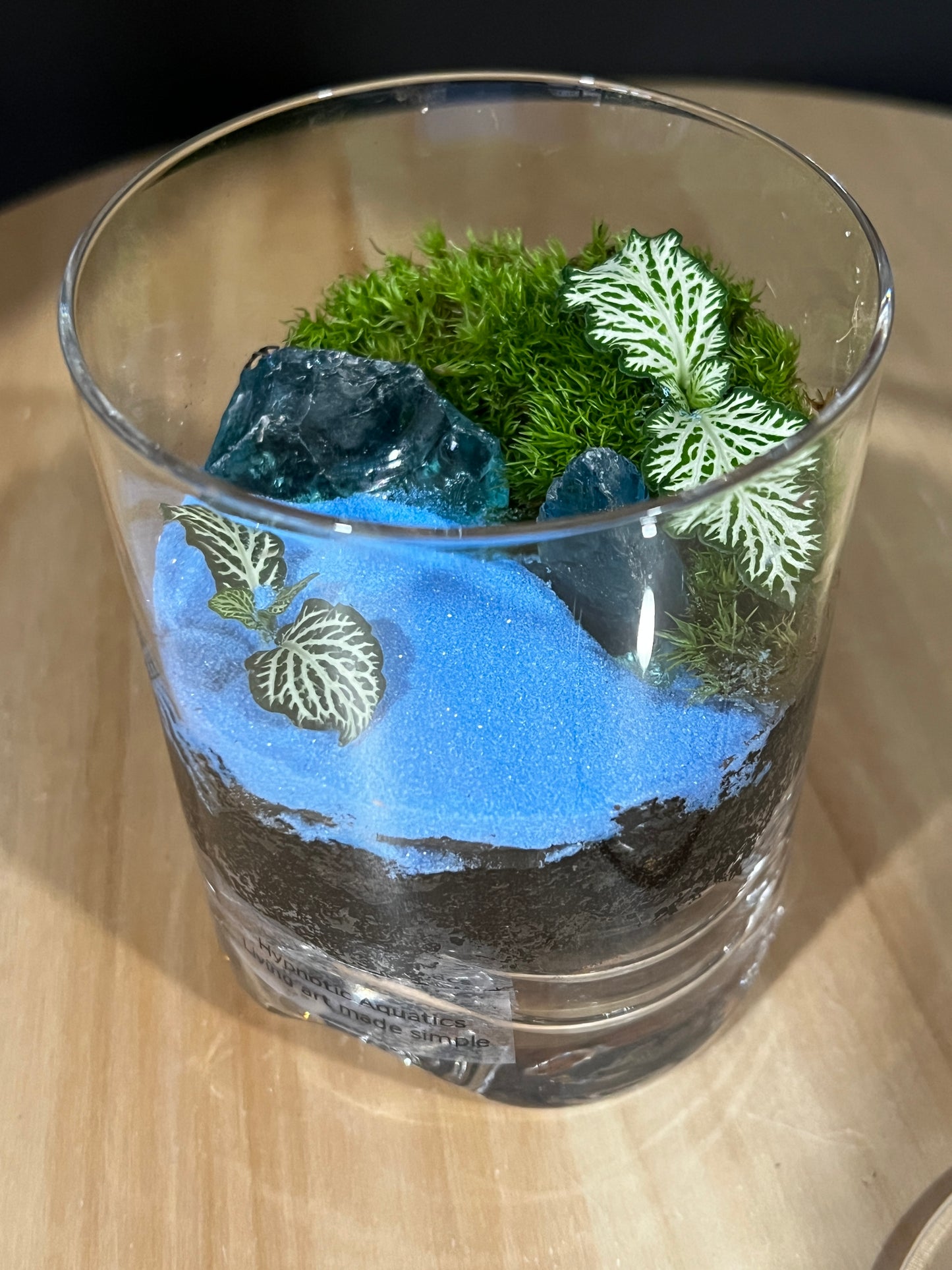 Terrarium 913