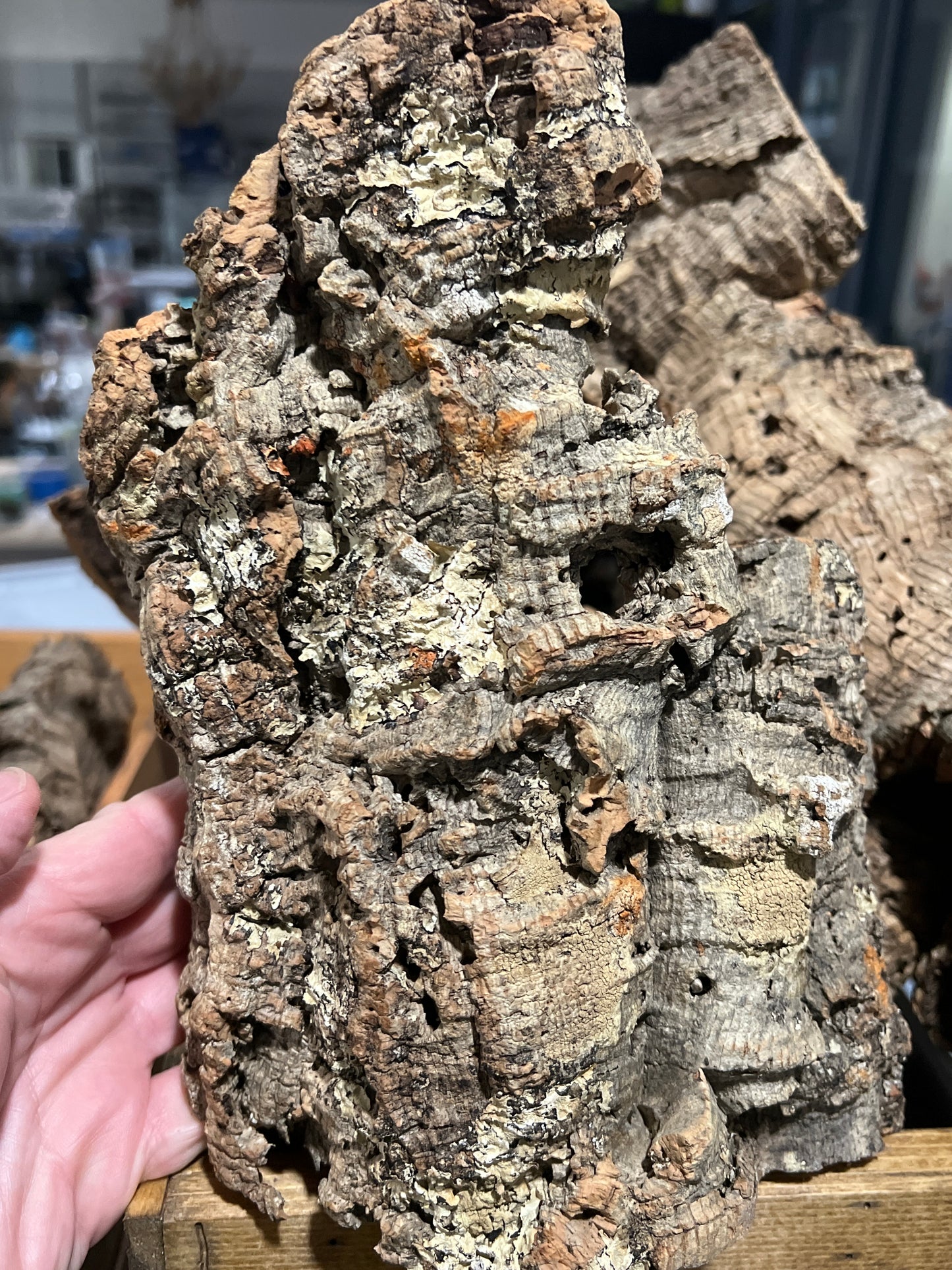 Cork Bark Medium