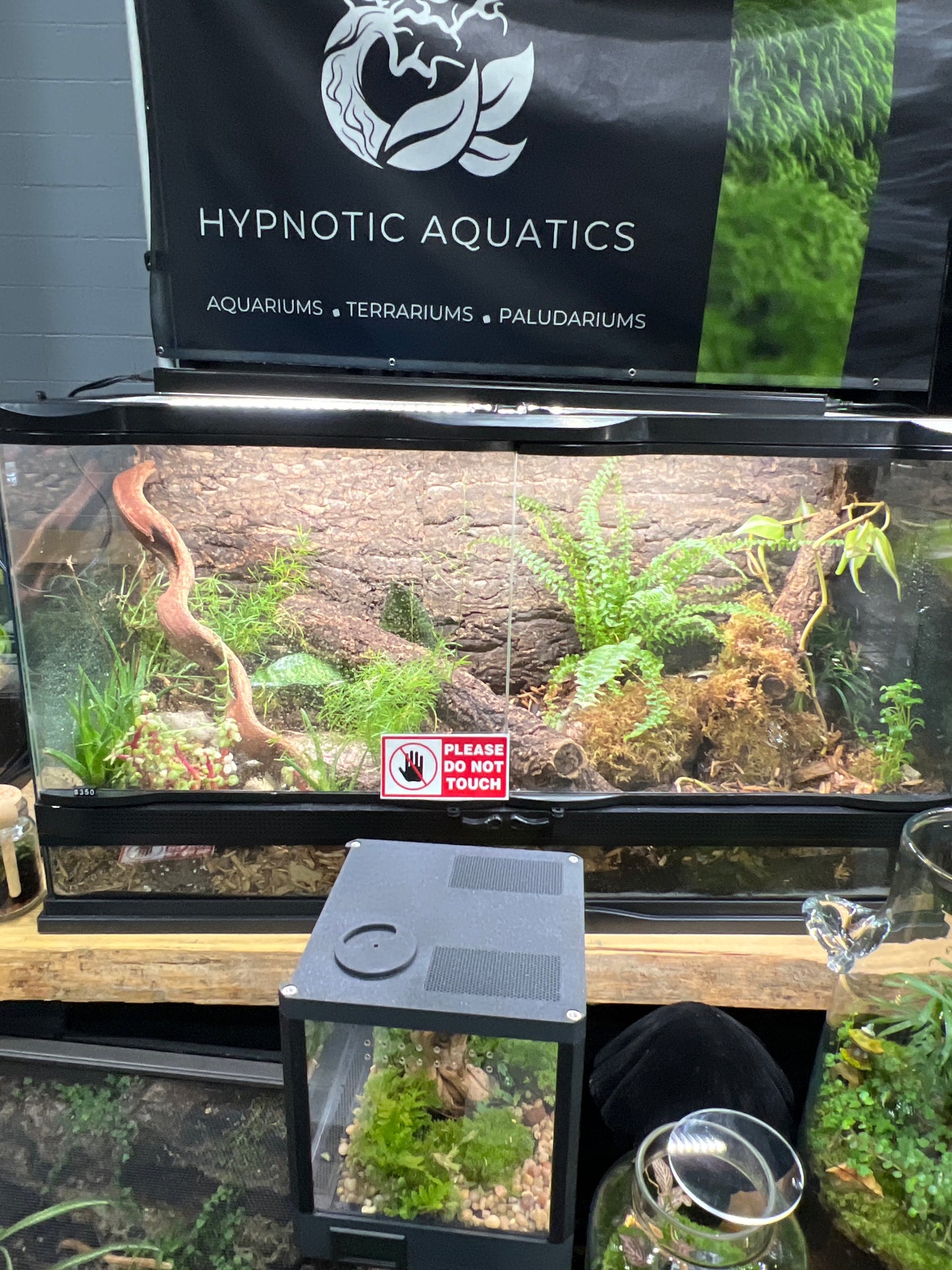 Snake/Dragon Habitat (25 Gallon)