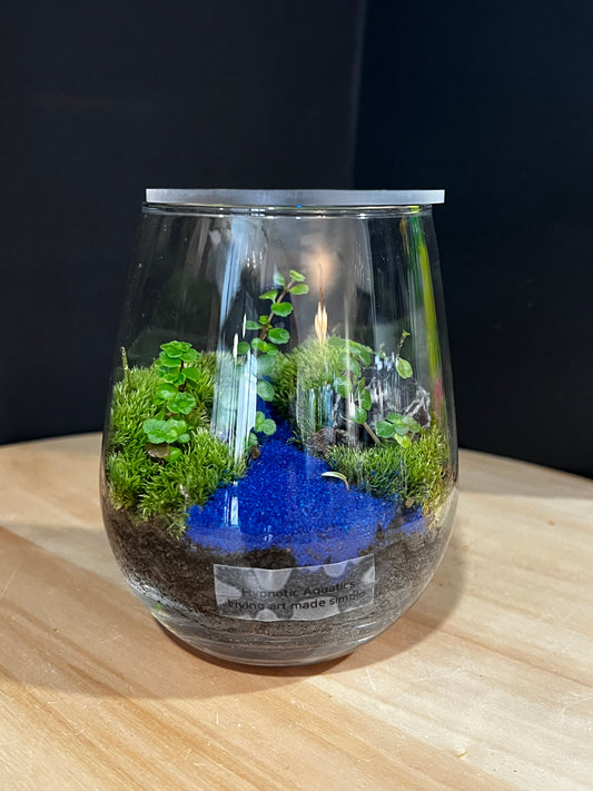 Terrarium 904