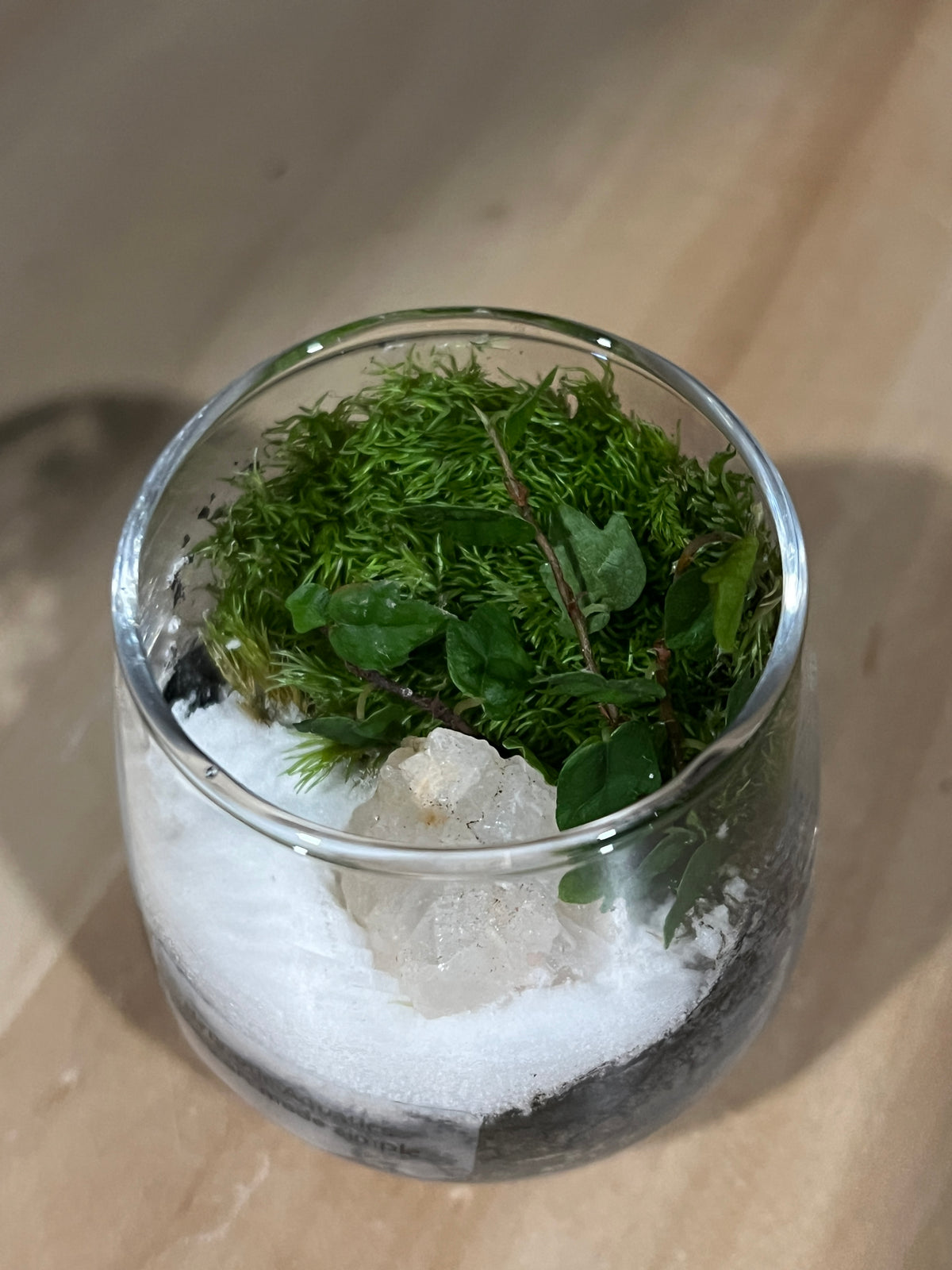 Terrarium 957