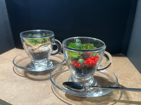 Terrarium 839 (seti)