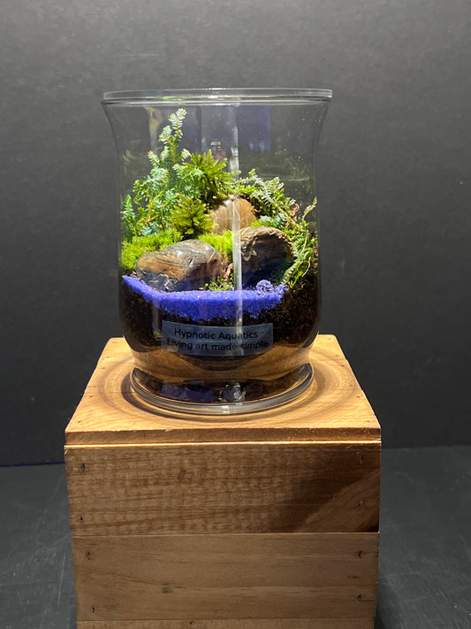 Terrarium #166