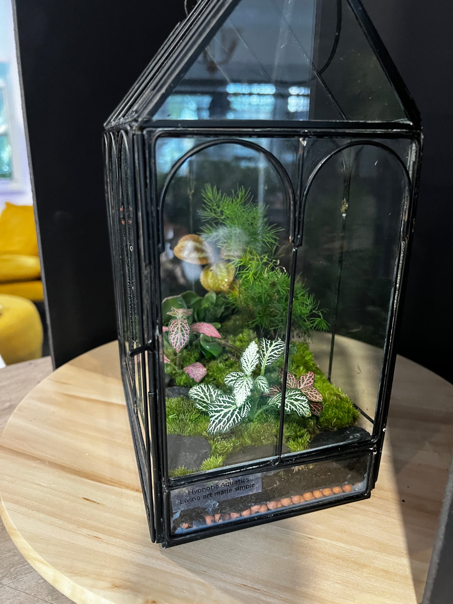 Terrarium 873