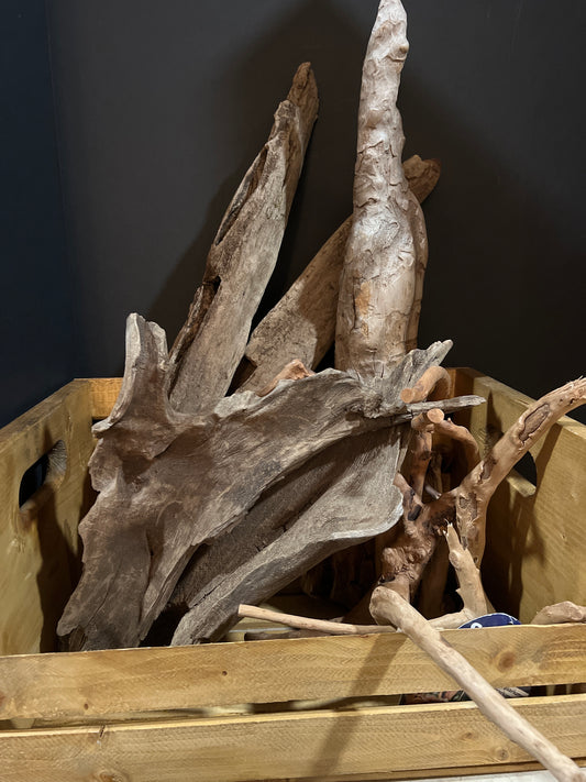 Spider/Cypress/Drift Wood