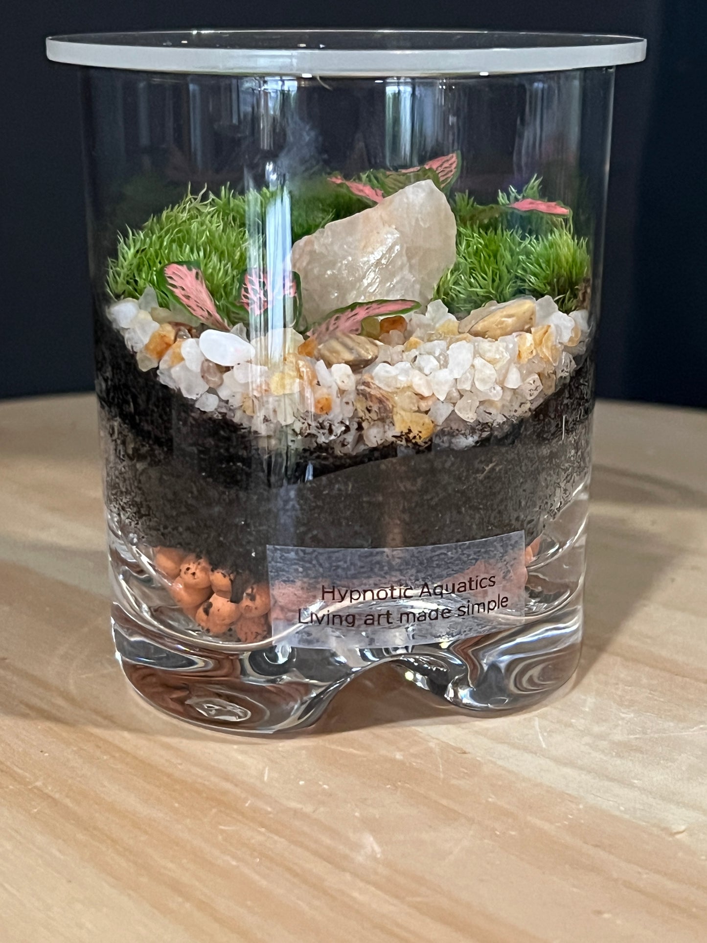 Terrarium 910