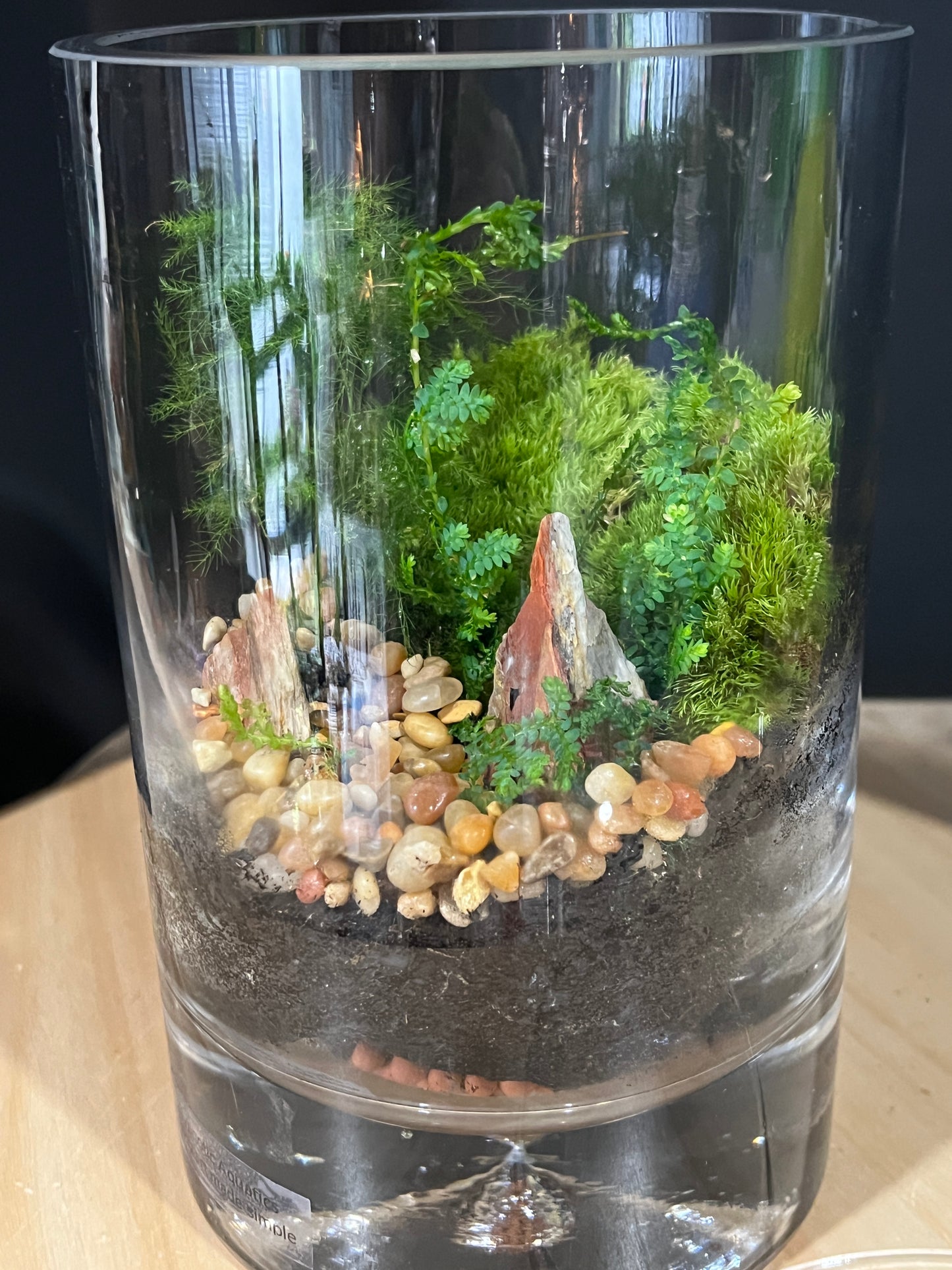 Terrarium 909