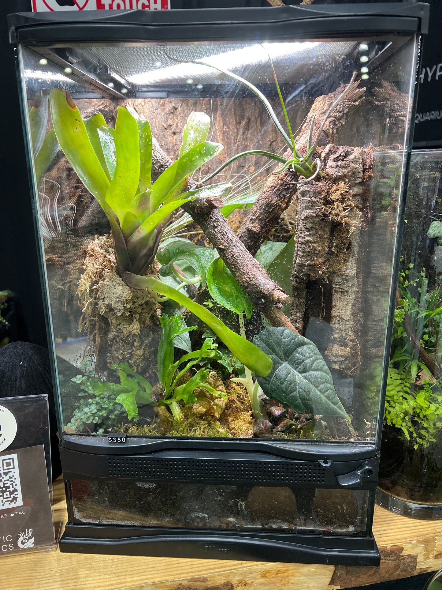 Terrarium 12x12x18