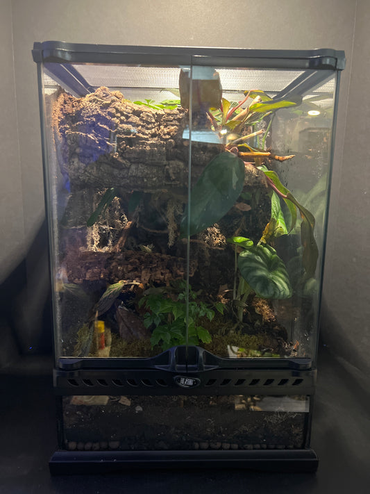 Terrarium Habitat 333