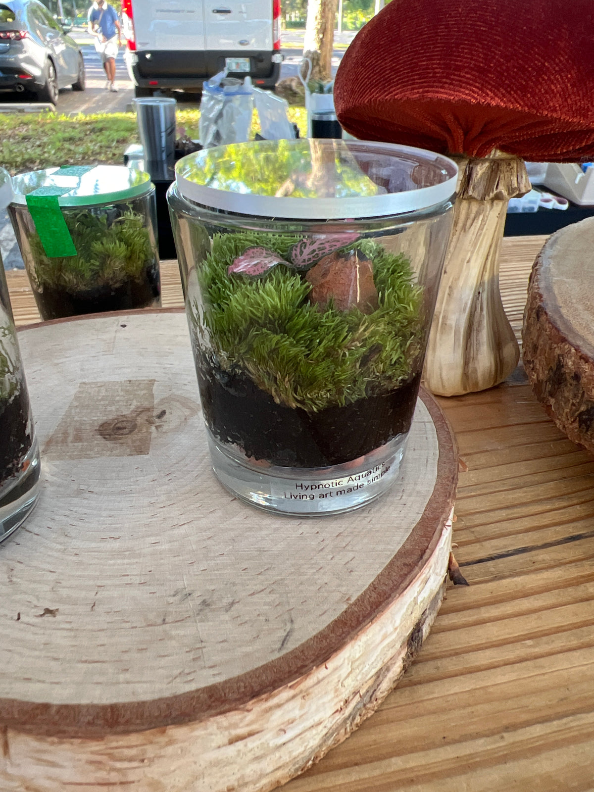 Terrarium 942