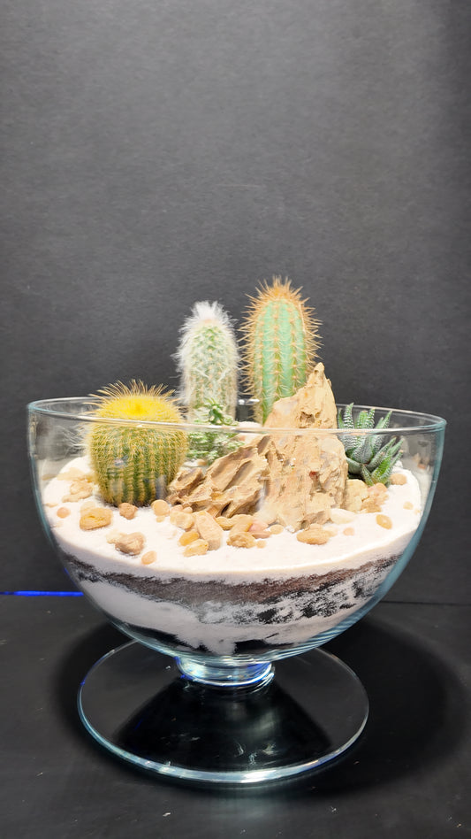 Terrarium #32