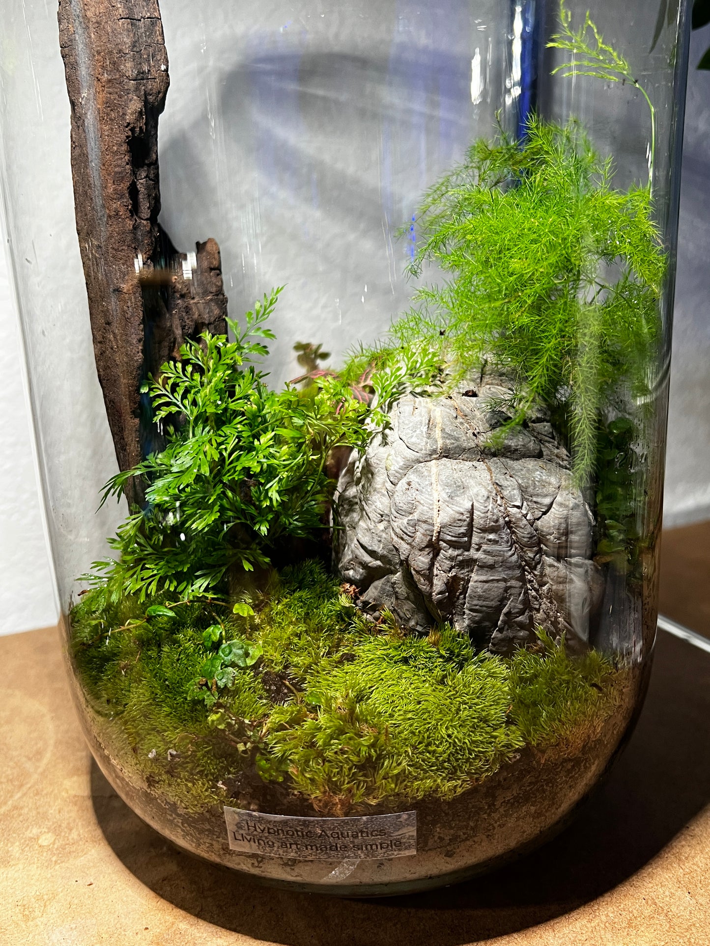 Terrarium 930