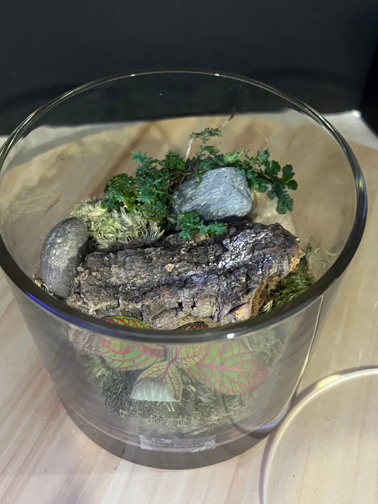 Terrarium 830