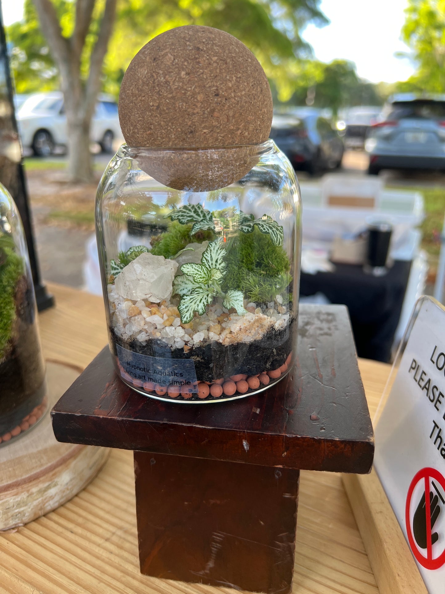 Terrarium 932
