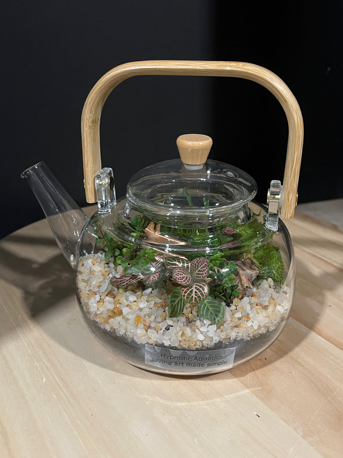 Terrarium 948
