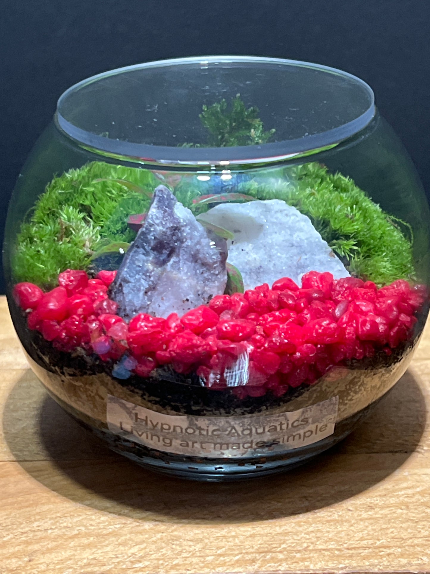 Terrarium #121