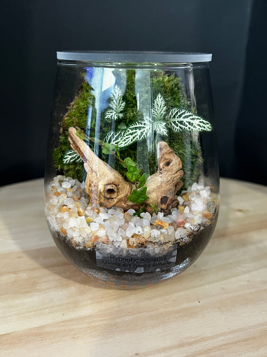 Terrarium 882