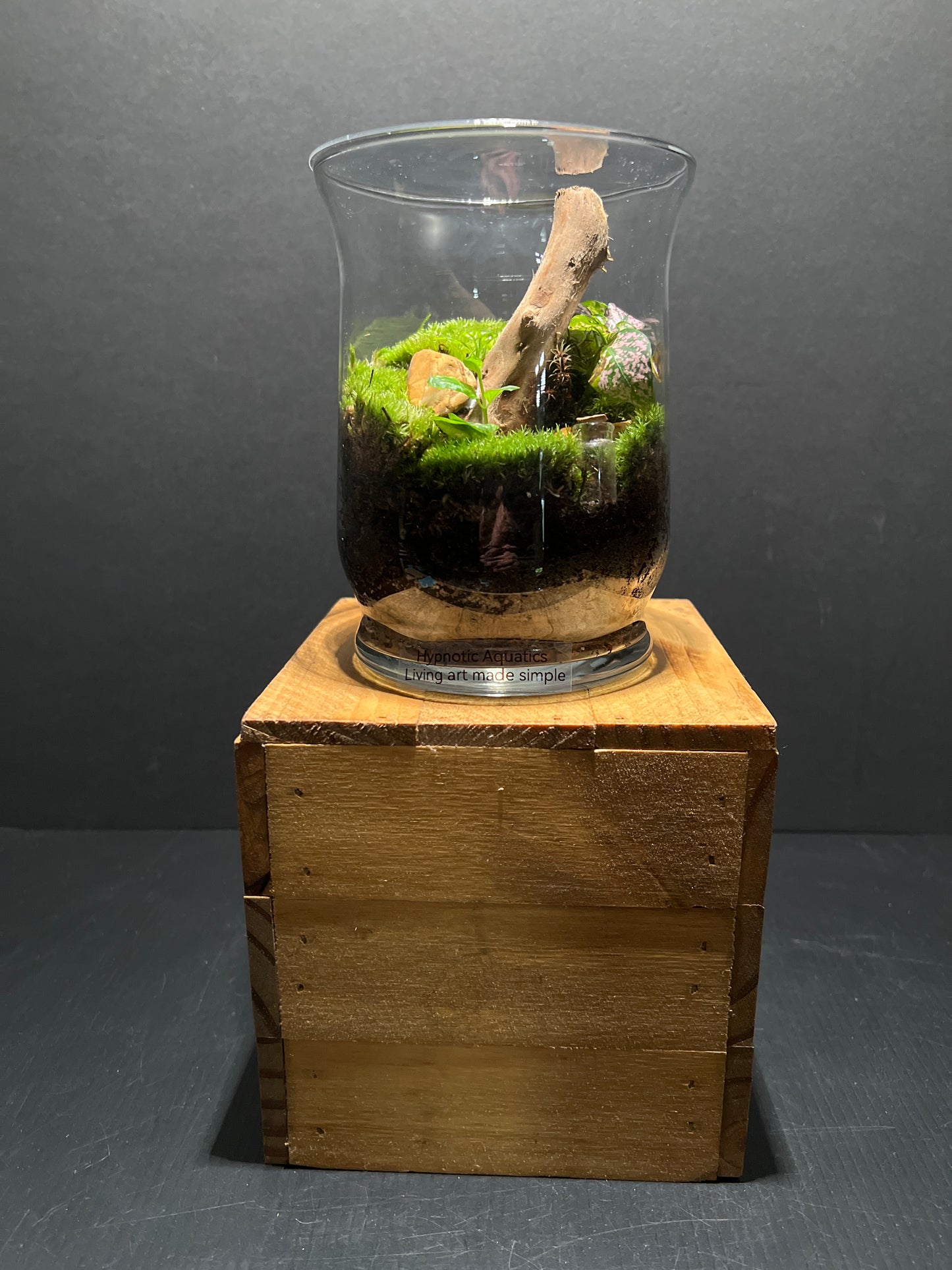 Terrarium #78