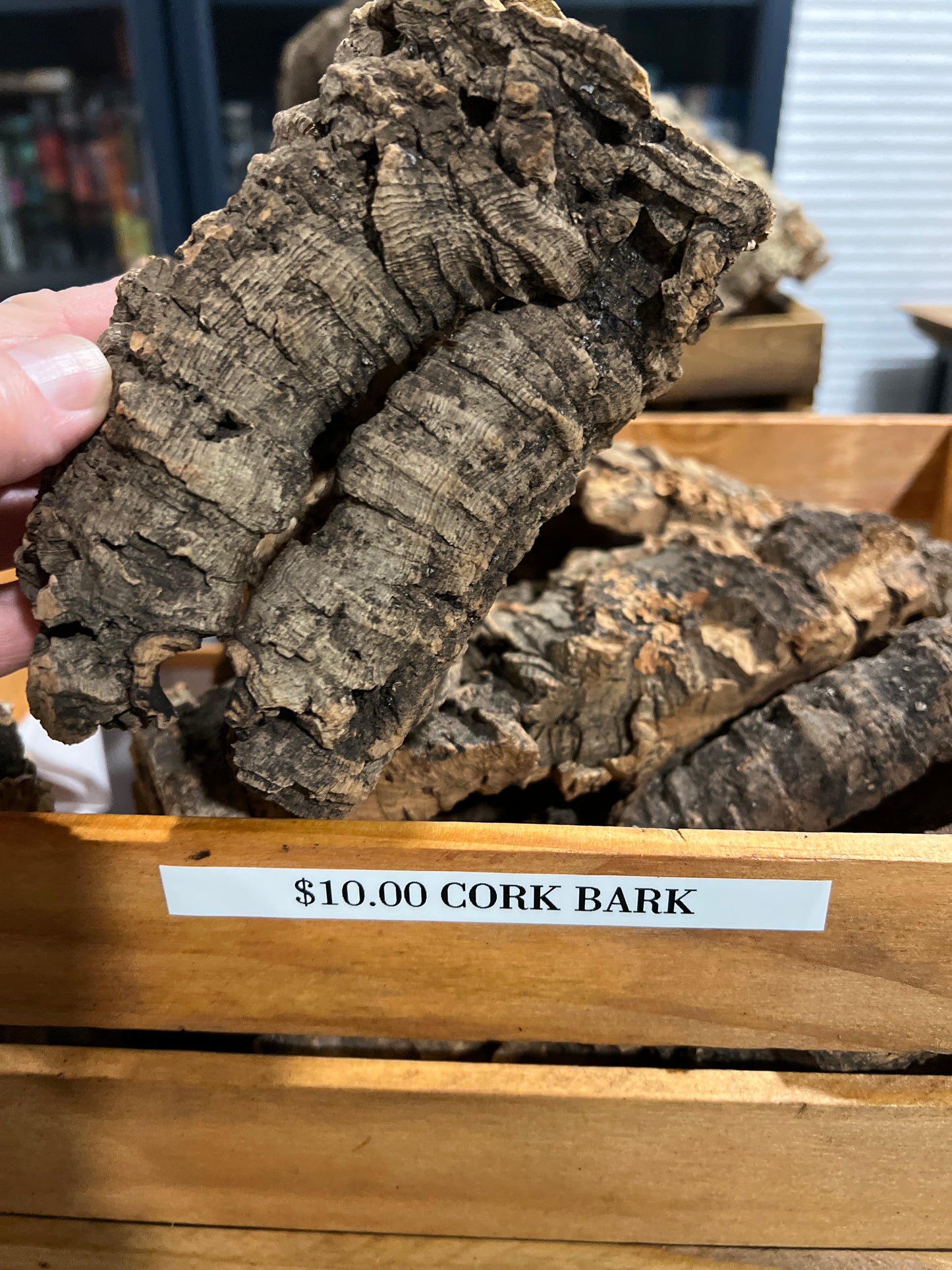 Cork Bark Small