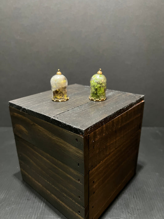 Terrarium #24