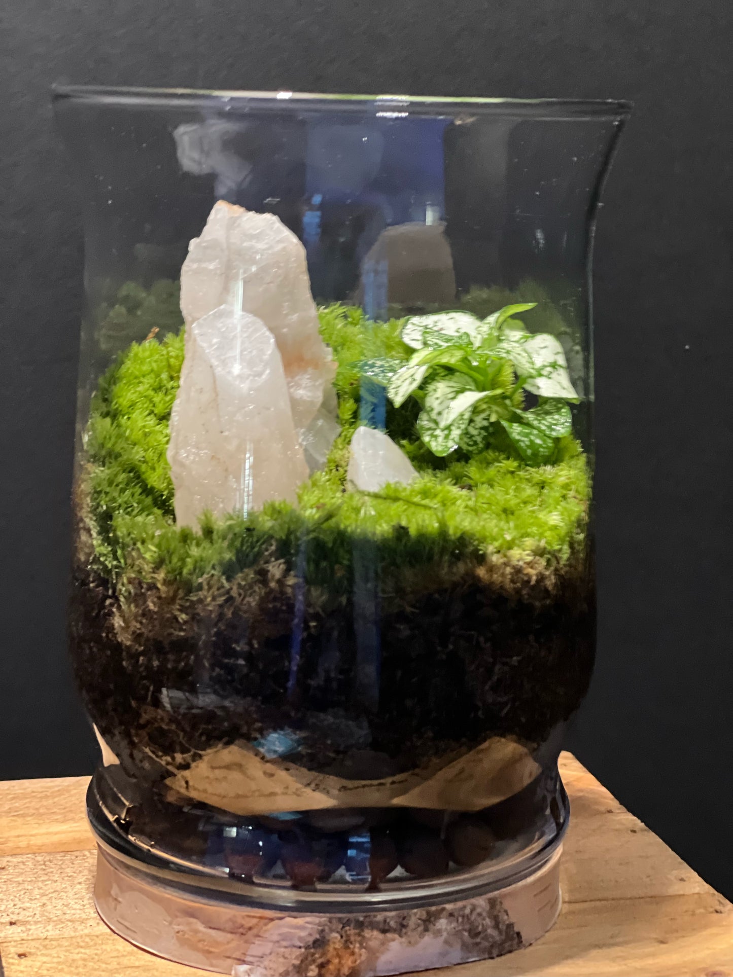 Terrarium 190