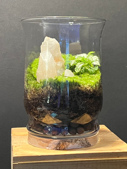 Terrarium 190