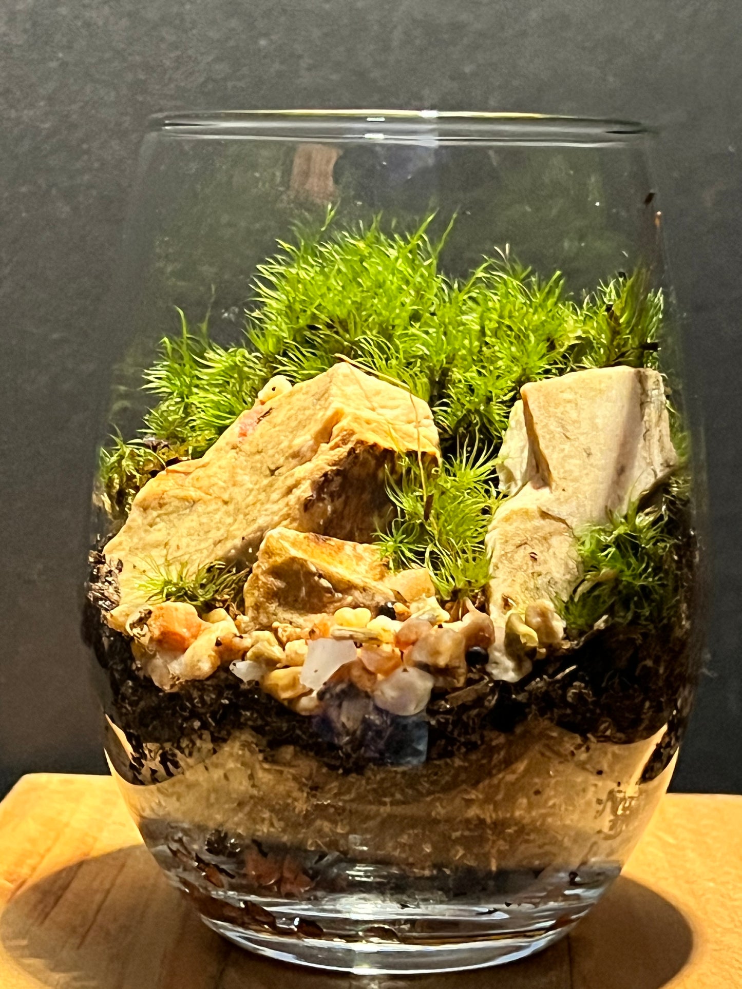 Terrarium 192