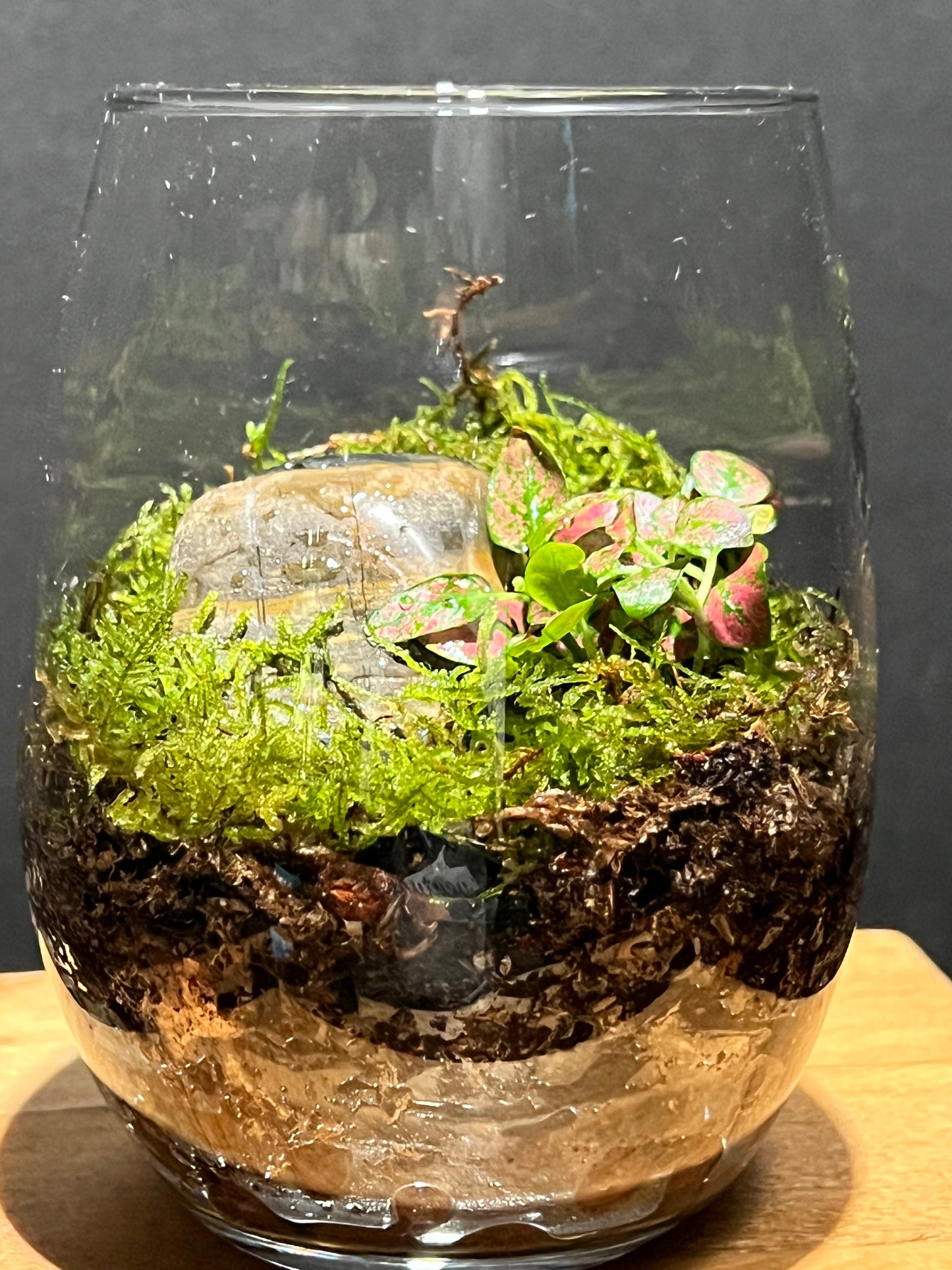 Terrarium 198